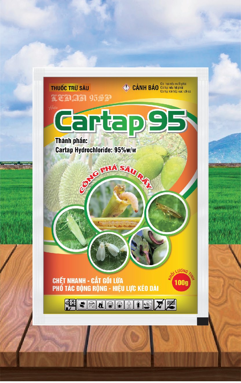 CARTAP 95 - 100