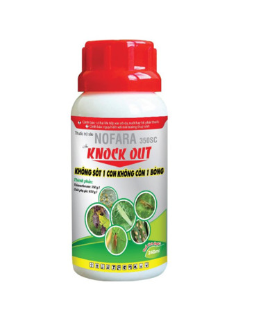 KNOCK OUR - 240ML